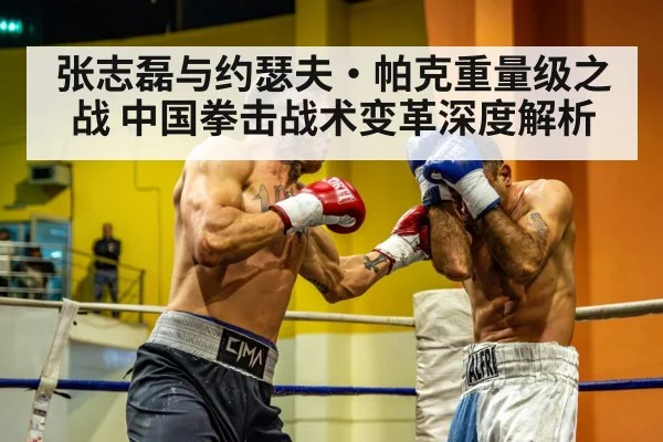 heavyweight boxing fight